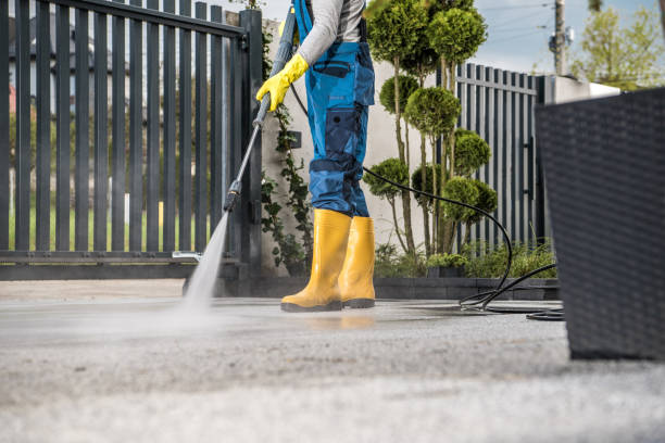 Best Affordable Power Washing  in Burton, MI