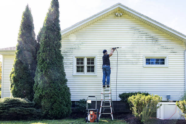 Professional Pressure Washing in Burton, MI