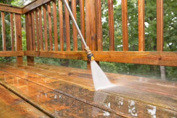 Best Local Pressure Washing Services  in Burton, MI