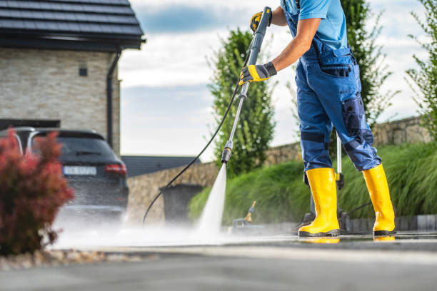 Best House Pressure Washing  in Burton, MI