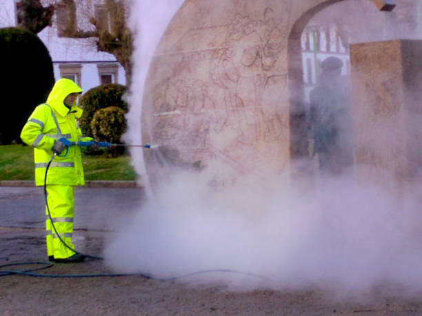 Best Roof Power Washing Services  in Burton, MI